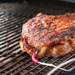 Temperaturføler For Kjøtt Weber - Svart -Weber Salgsbutikk 512797 512797 iGrill20Pro20Meat20Probe miljo